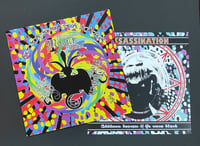 Image 3 of ASSASSINATION "Autum Brown Is The New Black" LP