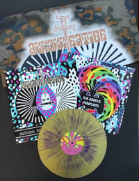 Image 1 of ASSASSINATION "Autum Brown Is The New Black" LP + FLAG