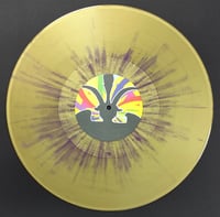 Image 3 of ASSASSINATION "Autum Brown Is The New Black" LP + FLAG