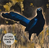Image 11 of Grackle Prints by Carly Weaver - Fine Art Print on Wood