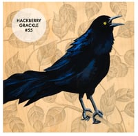 Image 6 of Grackle Prints by Carly Weaver - Fine Art Print on Wood