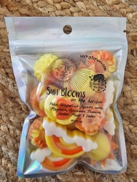 Image 3 of Sun Blooms on the Horizon 