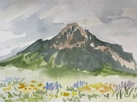 Crested Butte Flowers