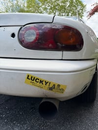 Image 7 of Lucky! slap