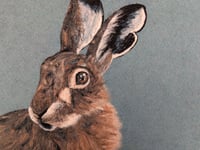 Needle Felt Hare