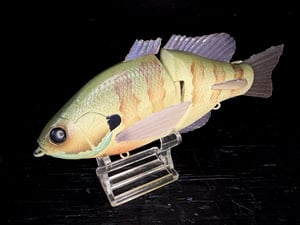 Image of 6” Ann Deluxe (Satin Bone Gill)