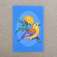 Image 1 of 4X6 Warbler Dandelion Print
