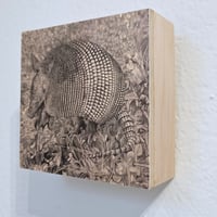 Image 2 of Ali-oop Dillo by Carly Weaver - Mounted Fine Art Print on Wood