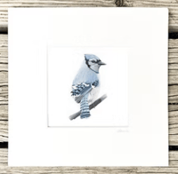Image 3 of Various 8x8" Species Prints by Danika Ostrowski - Fine Art Print