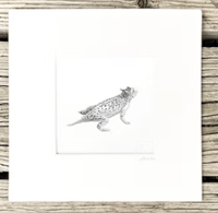 Image 10 of Various 8x8" Species Prints by Danika Ostrowski - Fine Art Print