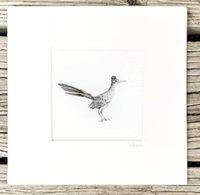 Image 14 of Various 8x8" Species Prints by Danika Ostrowski - Fine Art Print
