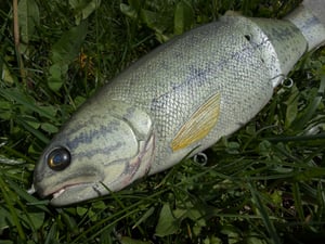 Image of 8” Cali Girl 3Piece (Satin Bass)