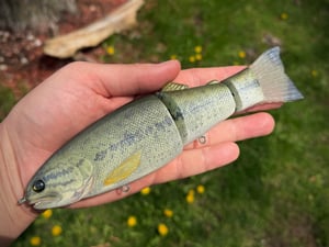 Image of 8” Cali Girl 3Piece (Satin Bass)