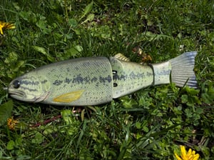 Image of 8” Cali Girl 3Piece (Satin Bass)