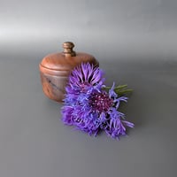 Image 1 of Woodland Apothecary Jar - Walnut 3.35" x 3"