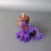 Image 1 of Woodland Apothecary Jar - Walnut 1.75" x 2.5"