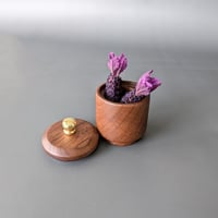Image 2 of Woodland Apothecary Jar - Walnut 1.75" x 2.5"