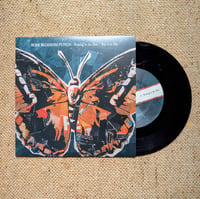 Image 1 of Rose Blossom Punch - Sowing In The Sun/ See It In Me 7" Vinyl