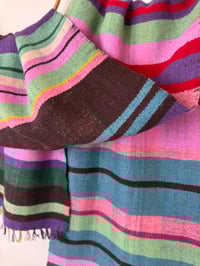 Image 2 of Losowen an Drynsys (Pansy)