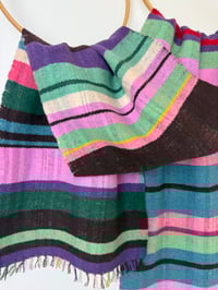 Image 5 of Losowen an Drynsys (Pansy)