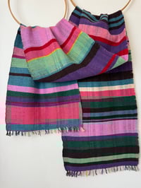 Image 3 of Losowen an Drynsys (Pansy)