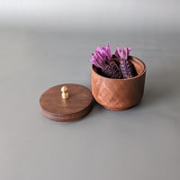 Image 4 of Woodland Apothecary Jar - Walnut 2.5" x 2.85"