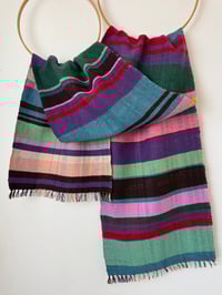 Image 4 of Geranjes (Geranium)