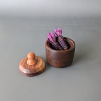 Image 1 of Woodland Apothecary Jar - Walnut 2.125" x 2.75"