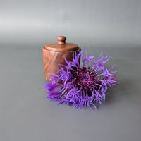 Image 1 of Woodland Apothecary Jar - Walnut 2.125" x 2.5"