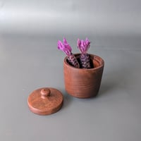 Image 5 of Woodland Apothecary Jar - Walnut 2.125" x 2.5"
