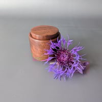 Image 1 of Woodland Apothecary Jar - Walnut 2.25" x 2.25"
