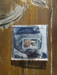 ÓD - Noc Patří Psům 3inch CDr