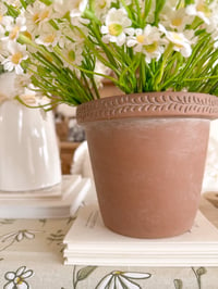 Image 1 of Terracotta Pot 