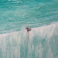 Image 2 of Staying Current; Wider