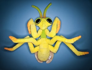 Praying Mantis! ☆With Glow In The Dark Eyes!☆