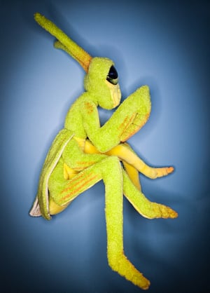 Praying Mantis! ☆With Glow In The Dark Eyes!☆