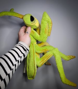 Praying Mantis! ☆With Glow In The Dark Eyes!☆