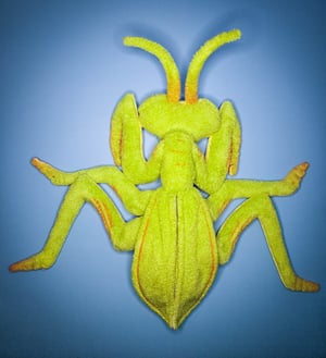 Praying Mantis! ☆With Glow In The Dark Eyes!☆