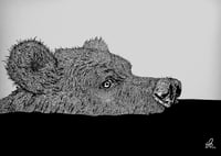Bear - Art Print