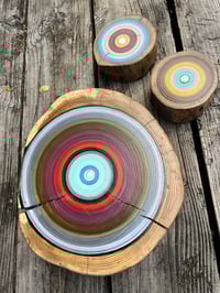Image 1 of 3 tree ring paintings 