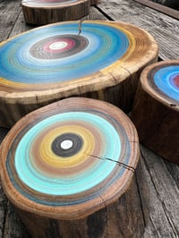 Image 2 of 3 tree ring paintings on Elm wood
