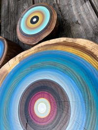 Image 3 of 3 tree ring paintings on Elm wood