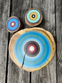 Image 1 of 3 tree ring paintings on Elm wood