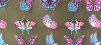 Image 3 of Butterflies