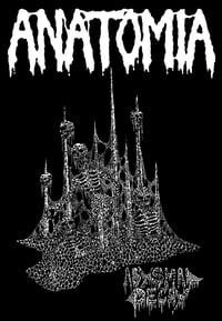 Image 2 of Anatomia Offical shirt and flag