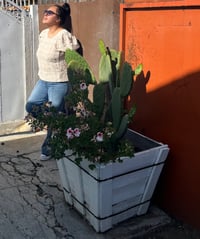 Image 5 of Cotton Gauze Blouse