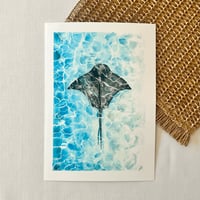 Image 1 of Stingray Study Fine Art Print 