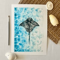Image 2 of Stingray Study Fine Art Print 