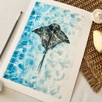 Image 3 of Stingray Study Fine Art Print 
