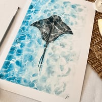 Image 4 of Stingray Study Fine Art Print 